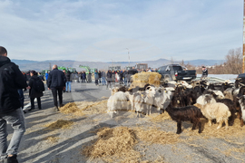 Ново Делчево - протест - земеделски производители