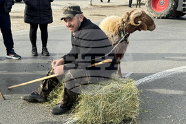 Село Дунавци - животновъди и земеделци - протест