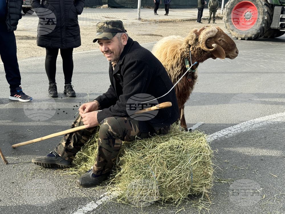 Село Дунавци - животновъди и земеделци - протест