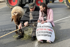 Село Дунавци - животновъди и земеделци - протест