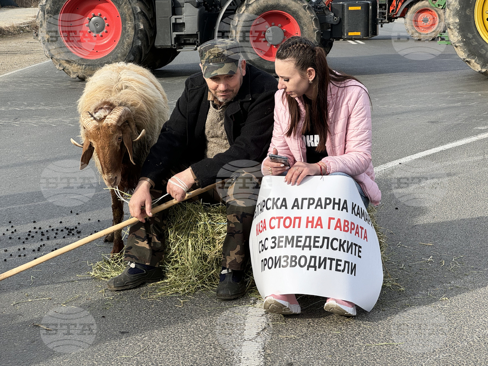 Село Дунавци - животновъди и земеделци - протест