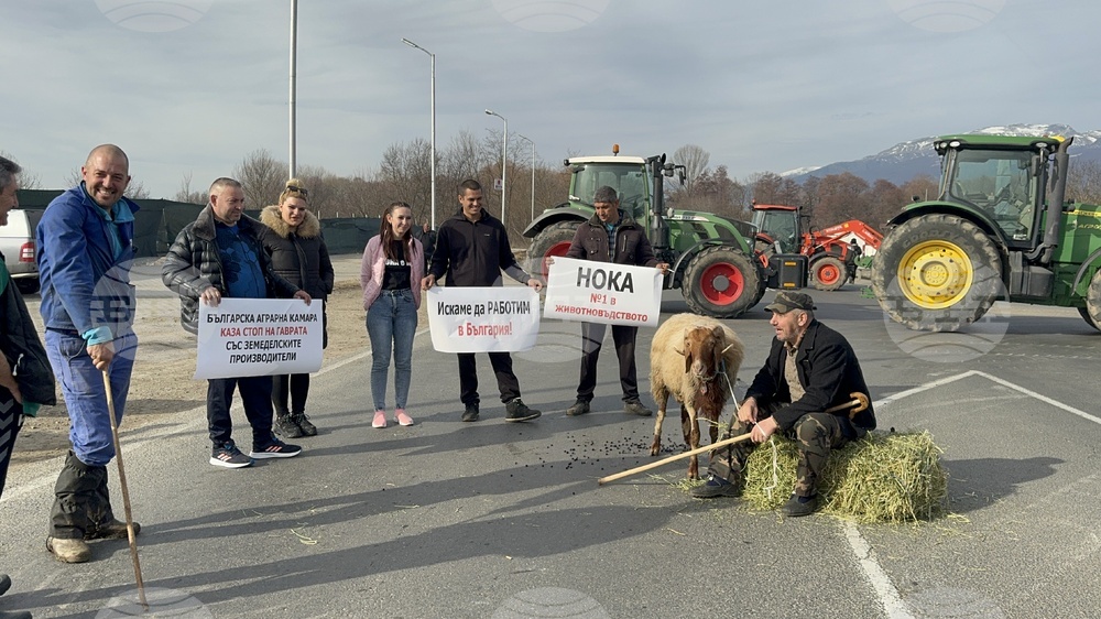 Село Дунавци - животновъди и земеделци - протест