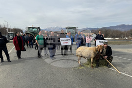 Село Дунавци - животновъди и земеделци - протест