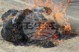 Село Дунавци - животновъди и земеделци - протест