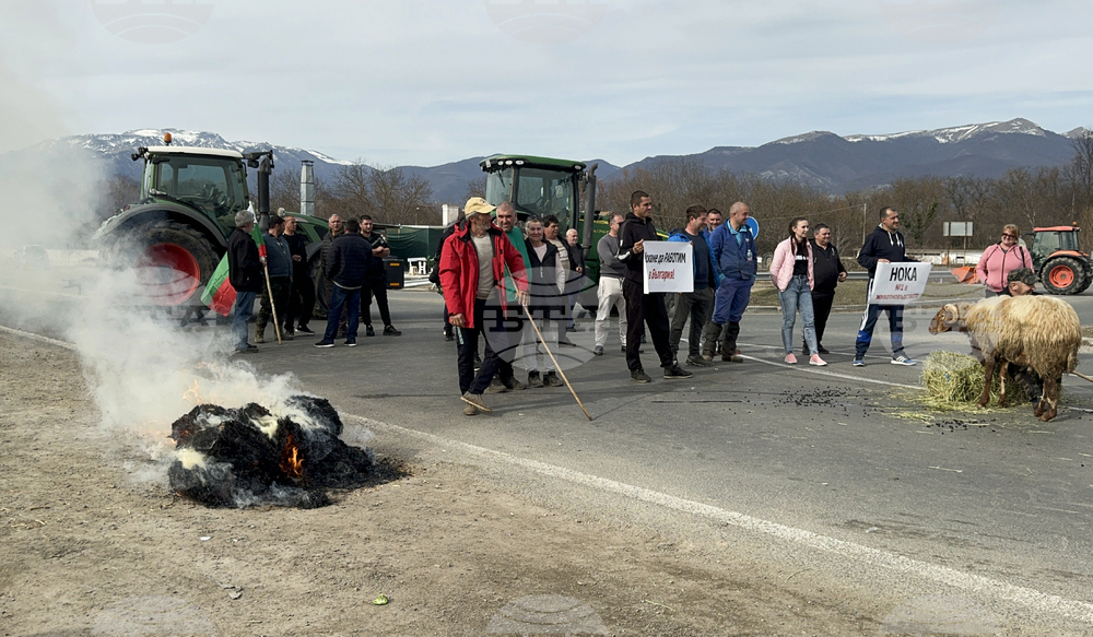 Село Дунавци - животновъди и земеделци - протест
