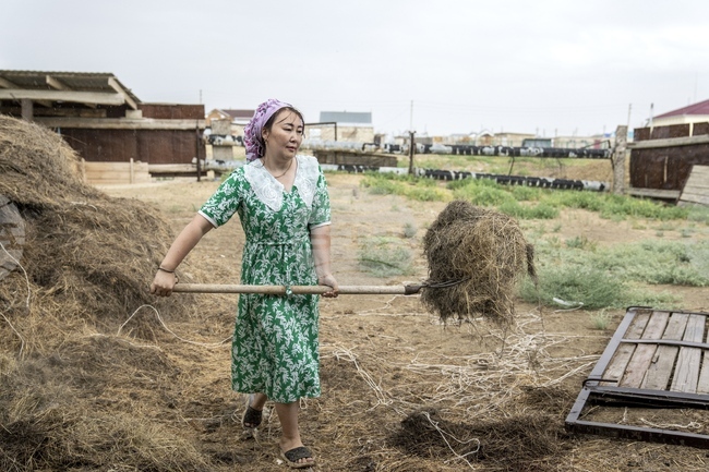 Казинформ: На фермерите в Казахстан ще им позволят да се занимават с агротуризъм