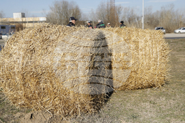 Дунав мост - земеделци - протест