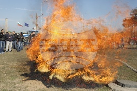 Дунав мост - земеделци - протест
