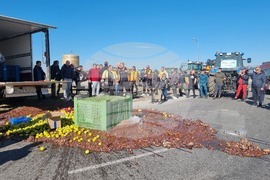 Село Труд - земеделски производители - протест