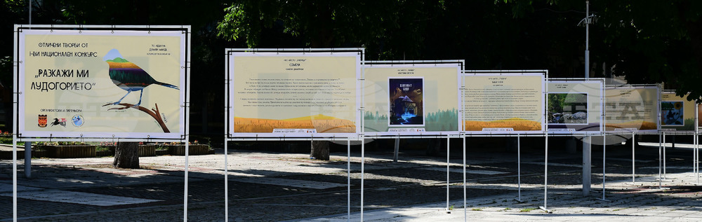 Исперих - „Разкажи ми Лудогорието“ - конкурс