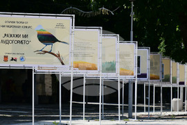 Исперих - „Разкажи ми Лудогорието“ - конкурс