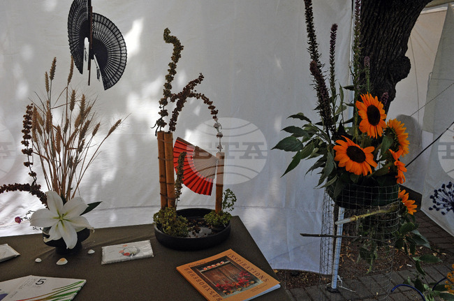 Бургас - летен фестивал на японската култура