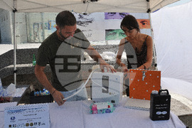 Бургас - летен фестивал на японската култура