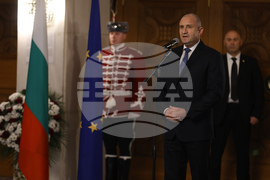 Национален исторически музей - Румен Радев - прием