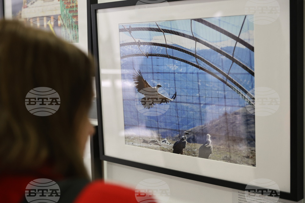 Пловдив - „Испания и България. Заедно в Европейския Съюз“ - фотоизложба