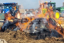 Село Труд - земеделски производители - протест