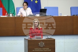 Парламентарен контрол