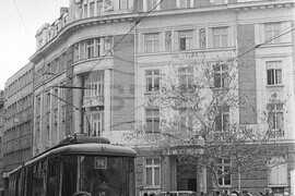 Софийско ежедневие