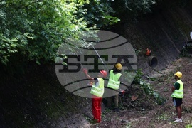 Перловска река - почистване