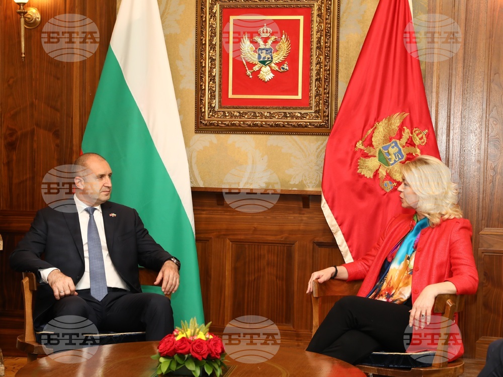 Черна гора - Румен Радев - Даниела Джурович - среща