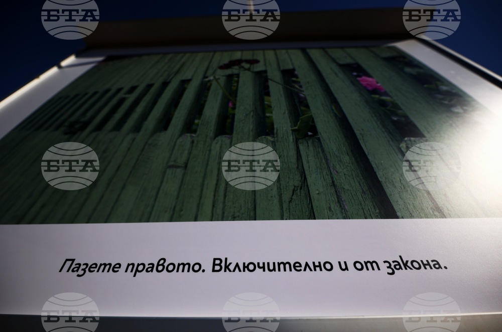 Кристиан Таков - изложба