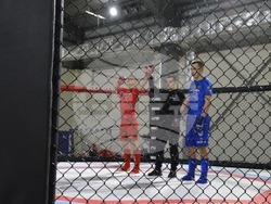 Снимка: Община Благоевград