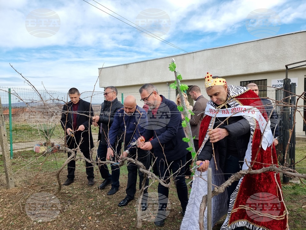 Деветнадесетият Общински празник на виното събра стотици в тунджанското село Скалица