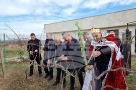 Село Скалица - празник на виното