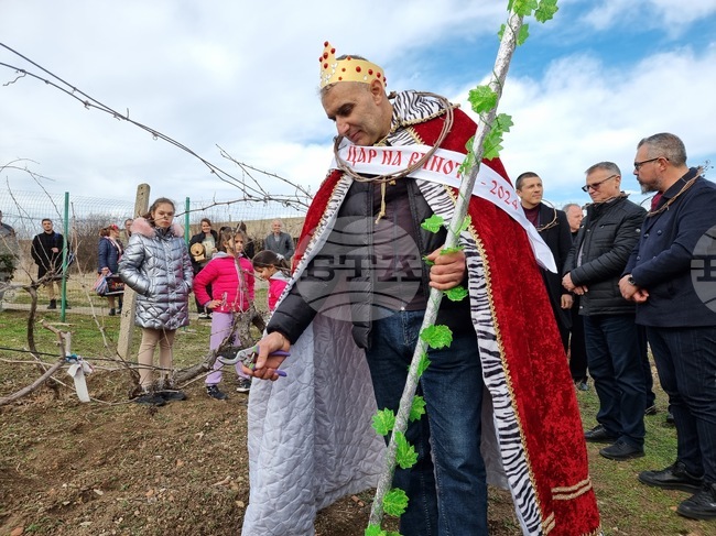  Село Скалица - празник на виното