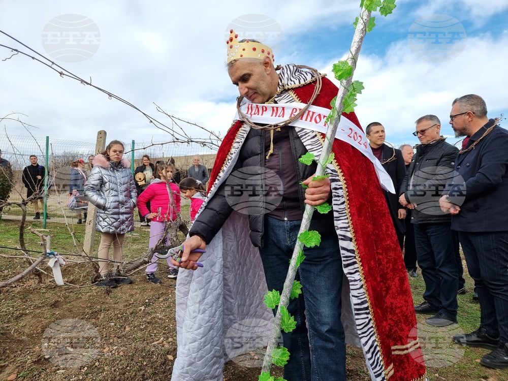 Село Скалица - празник на виното