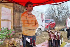 Село Арбанаси - млади лозя - зарязване