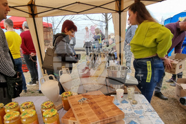 Село Арбанаси - млади лозя - зарязване