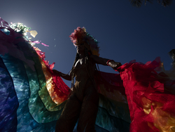 Brazil Carnival