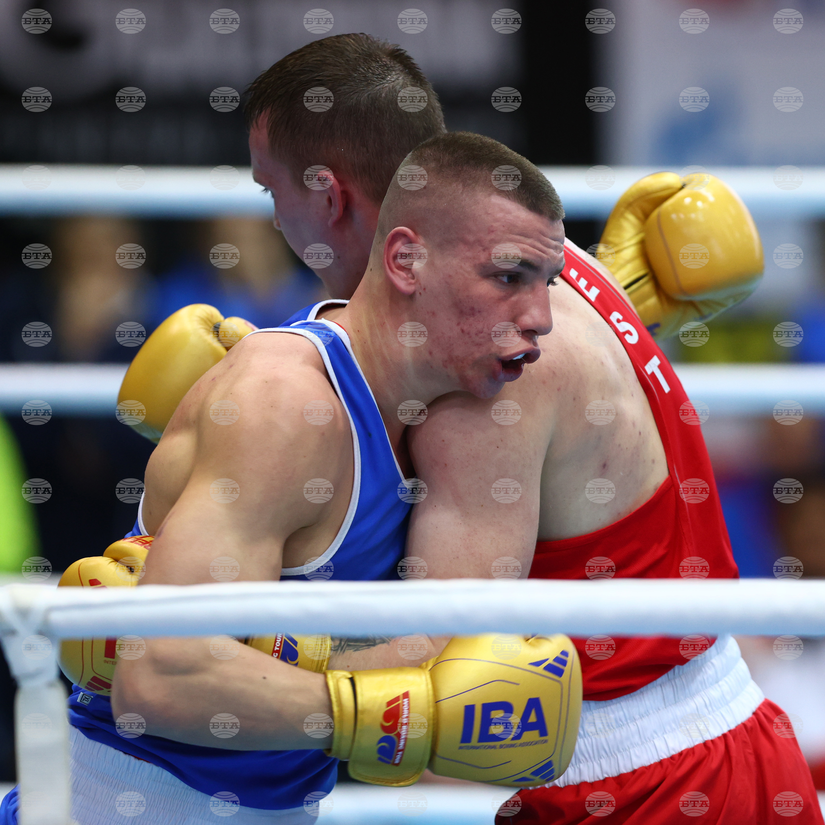 Бокс - Странджа 2022