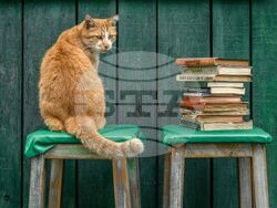 Снимка: Пресцентър