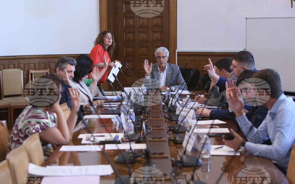 Парламент - Временна комисия