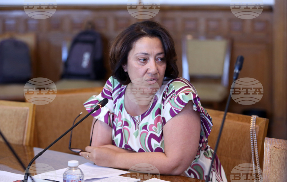 Парламент - Временна комисия - Златомира Мострова