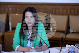 Парламент - Временна комисия -  Десислава Трифонова