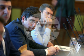 Парламент - Временна комисия - Петър Чобанов