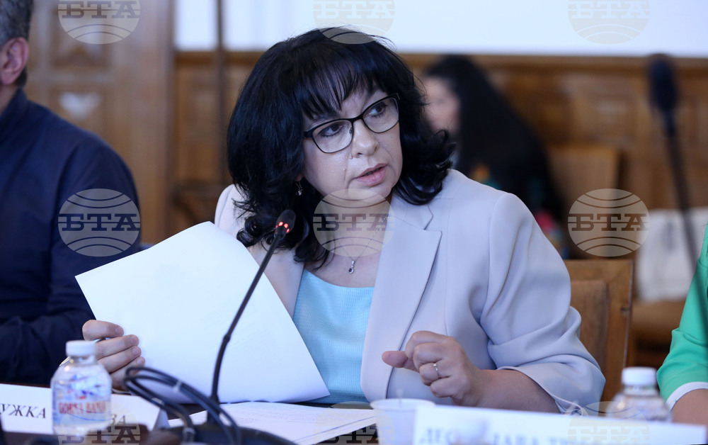 Парламент - Временна комисия - Теменужка Петкова