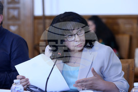Парламент - Временна комисия - Теменужка Петкова