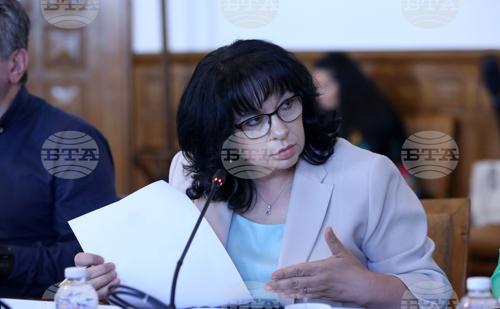 Парламент - Временна комисия - Теменужка Петкова