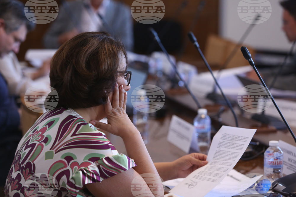 Парламент - Временна комисия - Златомира Мострова