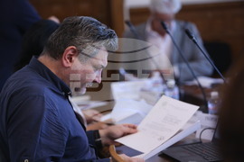 Парламент - Временна комисия - Георги Ганев