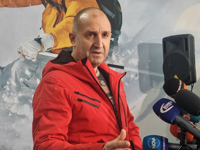 President Says Solving Martin Bozhanov's Case Will Determine Bulgaria's Development as Democratic, Rule of Law State
