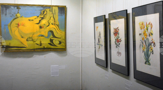 Русе - Салвадор Дали - изложба