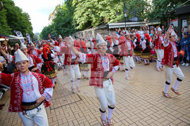 Международен фолклорен фестивал „Витоша“