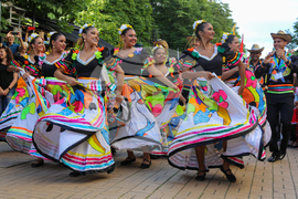 Международен фолклорен фестивал „Витоша“