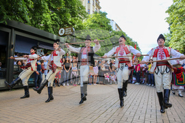 Международен фолклорен фестивал „Витоша“