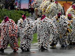 Brazil Carnival